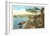 Coast from Highlands, Carmel, California-null-Framed Art Print