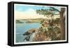 Coast from Highlands, Carmel, California-null-Framed Stretched Canvas