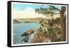 Coast from Highlands, Carmel, California-null-Framed Stretched Canvas