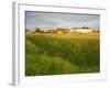 Coast Guard Cottages, Sandwich Bay, 2014 (Oil on Canvas)-Peter Breeden-Framed Giclee Print