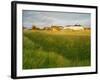 Coast Guard Cottages, Sandwich Bay, 2014 (Oil on Canvas)-Peter Breeden-Framed Giclee Print