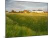 Coast Guard Cottages, Sandwich Bay, 2014 (Oil on Canvas)-Peter Breeden-Mounted Giclee Print