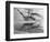 Coast Guard Cutter in Antarctica-null-Framed Photographic Print