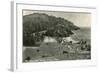 Coast Highway, Heceta Head, Oregon-null-Framed Art Print