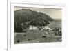 Coast Highway, Heceta Head, Oregon-null-Framed Art Print