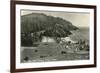 Coast Highway, Heceta Head, Oregon-null-Framed Art Print