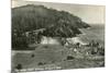 Coast Highway, Heceta Head, Oregon-null-Mounted Art Print