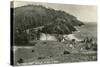 Coast Highway, Heceta Head, Oregon-null-Stretched Canvas