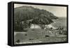 Coast Highway, Heceta Head, Oregon-null-Framed Stretched Canvas