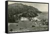 Coast Highway, Heceta Head, Oregon-null-Framed Stretched Canvas