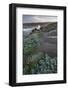 Coast in the Salt Point State Park, Sonoma Coast, California, Usa-Rainer Mirau-Framed Photographic Print