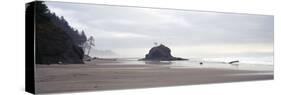 Coast La Push Olympic National Park WA-null-Stretched Canvas