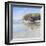 Coast Line-Craig Trewin Penny-Framed Art Print