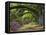 Coast Live Oaks and Azaleas Blossom, Magnolia Plantation, Charleston, South Carolina, USA-Adam Jones-Framed Stretched Canvas