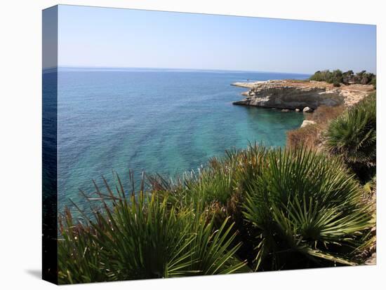 Coast Near Cassibile, Siracusa Province, Sicily, Italy, Mediterranean, Europe-Vincenzo Lombardo-Stretched Canvas