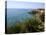 Coast Near Cassibile, Siracusa Province, Sicily, Italy, Mediterranean, Europe-Vincenzo Lombardo-Stretched Canvas