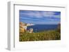 Coast near Town from Carotola Garden, Boniface, Corsica, France-Massimo Borchi-Framed Photographic Print