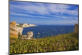 Coast near Town from Carotola Garden, Boniface, Corsica, France-Massimo Borchi-Mounted Photographic Print