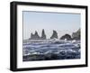 Coast Near Vik Y Myrdal, Winter. the Sea Stacks Called Reynisdrangar-Martin Zwick-Framed Photographic Print