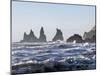 Coast Near Vik Y Myrdal, Winter. the Sea Stacks Called Reynisdrangar-Martin Zwick-Mounted Photographic Print