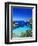 Coast Nearby Portinatx, Ibiza, Balearic Islands, Spain-Katja Kreder-Framed Photographic Print