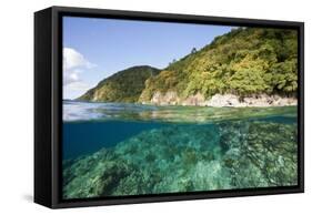 Coast of Dominica above and below Water-Reinhard Dirscherl-Framed Stretched Canvas