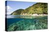 Coast of Dominica above and below Water-Reinhard Dirscherl-Stretched Canvas