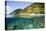 Coast of Dominica above and below Water-Reinhard Dirscherl-Stretched Canvas