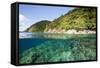 Coast of Dominica above and below Water-Reinhard Dirscherl-Framed Stretched Canvas