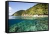 Coast of Dominica above and below Water-Reinhard Dirscherl-Framed Stretched Canvas