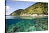 Coast of Dominica above and below Water-Reinhard Dirscherl-Stretched Canvas