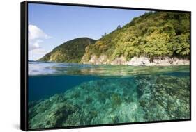 Coast of Dominica above and below Water-Reinhard Dirscherl-Framed Stretched Canvas