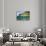 Coast of Dominica above and below Water-Reinhard Dirscherl-Stretched Canvas displayed on a wall