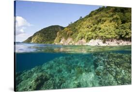 Coast of Dominica above and below Water-Reinhard Dirscherl-Stretched Canvas