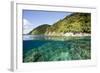 Coast of Dominica above and below Water-Reinhard Dirscherl-Framed Photographic Print