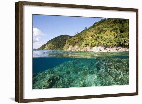 Coast of Dominica above and below Water-Reinhard Dirscherl-Framed Photographic Print