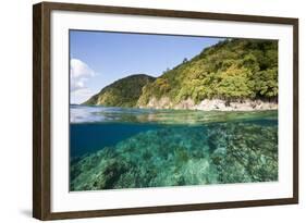 Coast of Dominica above and below Water-Reinhard Dirscherl-Framed Photographic Print