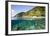 Coast of Dominica above and below Water-Reinhard Dirscherl-Framed Photographic Print