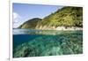 Coast of Dominica above and below Water-Reinhard Dirscherl-Framed Photographic Print