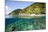 Coast of Dominica above and below Water-Reinhard Dirscherl-Mounted Photographic Print