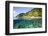 Coast of Dominica above and below Water-Reinhard Dirscherl-Framed Photographic Print