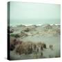 Coast of Oregon-Eliot Elisofon-Stretched Canvas