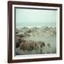 Coast of Oregon-Eliot Elisofon-Framed Photographic Print