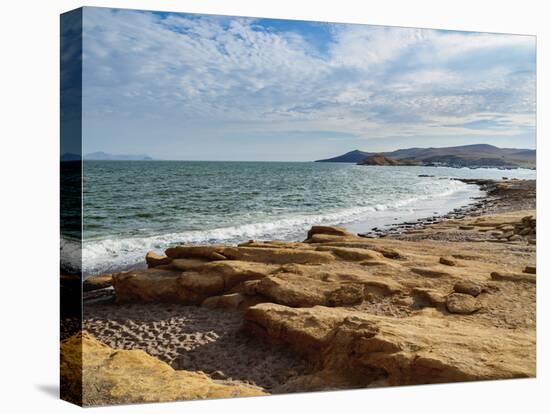 Coast of Paracas National Reserve, Ica Region, Peru, South America-Karol Kozlowski-Stretched Canvas