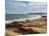 Coast of Paracas National Reserve, Ica Region, Peru, South America-Karol Kozlowski-Mounted Photographic Print