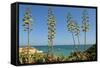 Coast of the Algarve-Jose Eusebio-Framed Stretched Canvas