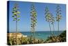 Coast of the Algarve-Jose Eusebio-Stretched Canvas