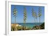 Coast of the Algarve-Jose Eusebio-Framed Photographic Print