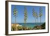 Coast of the Algarve-Jose Eusebio-Framed Photographic Print