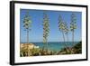 Coast of the Algarve-Jose Eusebio-Framed Photographic Print